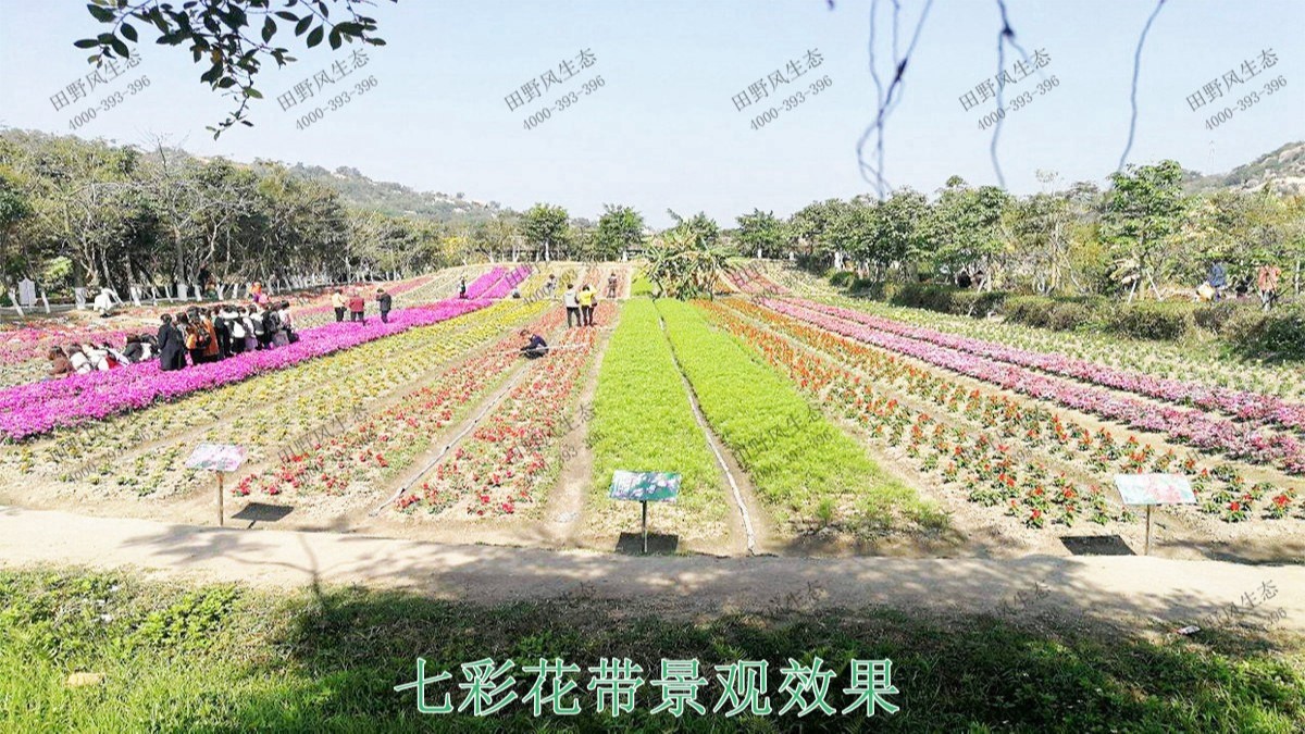 江西贛州美麗鄉(xiāng)村景觀工程 江西贛州美麗鄉(xiāng)村景觀工程