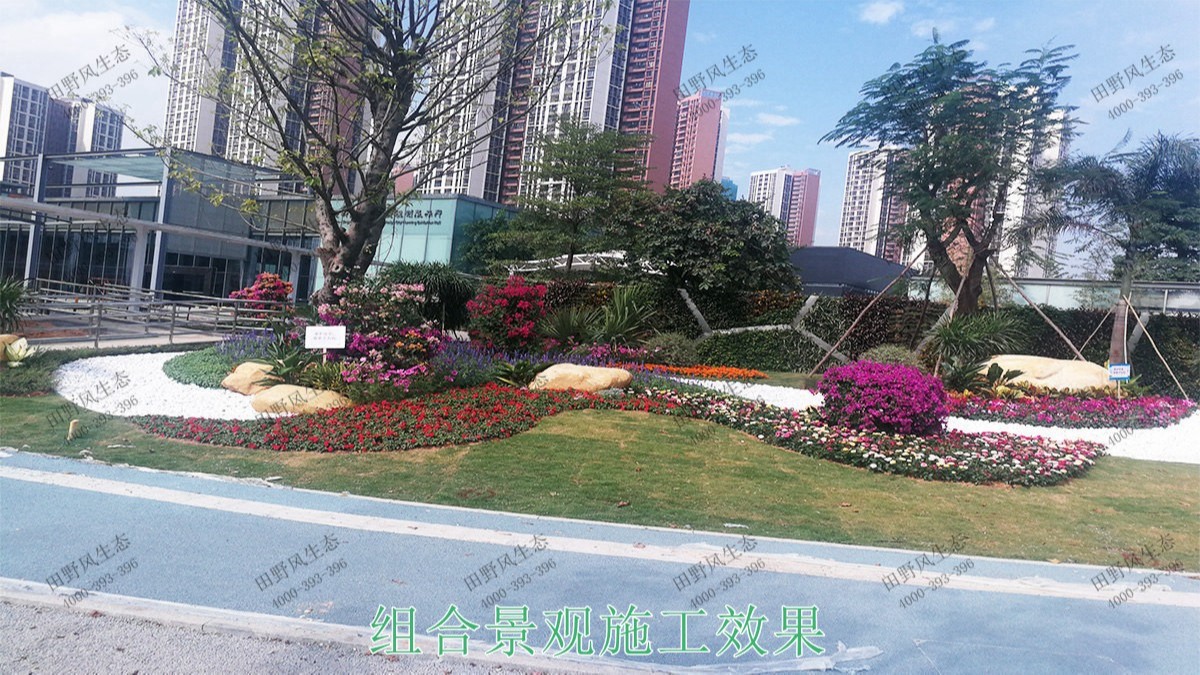廣州黃埔九龍大道市政花海設(shè)計(jì)園林工程 廣州黃埔九龍大道市政花海設(shè)計(jì)園林工程