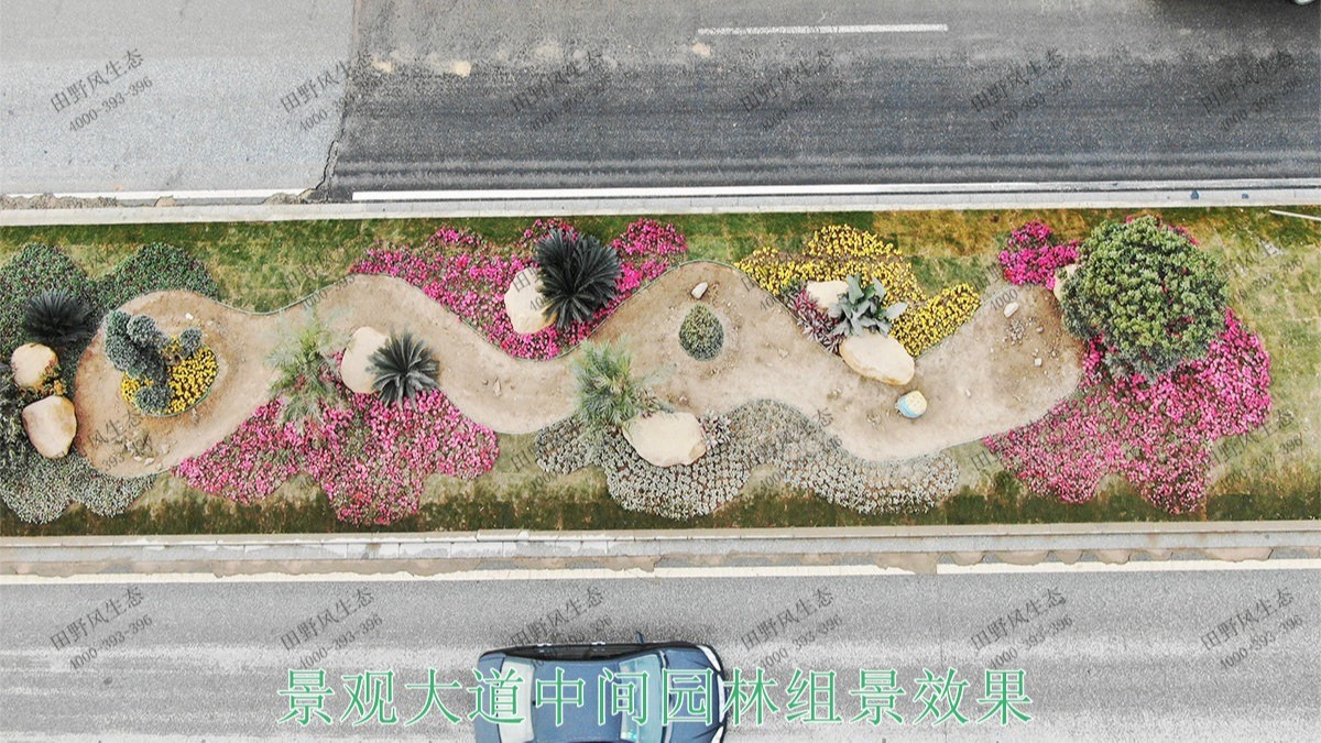 廣州黃埔九龍大道市政花海設(shè)計(jì)園林工程 廣州黃埔九龍大道市政花海設(shè)計(jì)園林工程