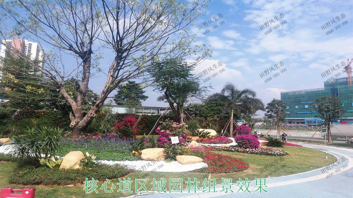 廣州黃埔九龍大道市政花海設(shè)計(jì)園林工程 廣州黃埔九龍大道市政花海設(shè)計(jì)園林工程