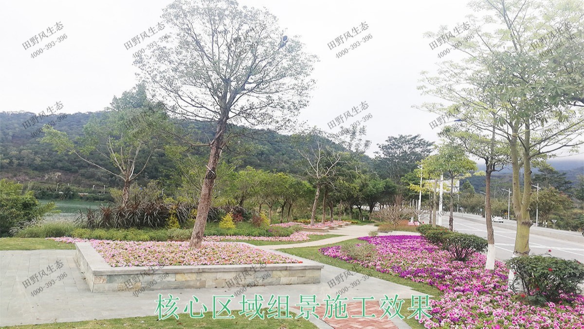 廣東河源濱江大道園林景觀工程 廣東河源濱江大道園林景觀工程