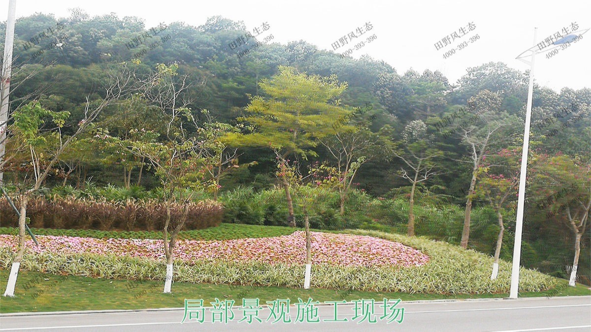 廣東河源濱江大道園林景觀工程 廣東河源濱江大道園林景觀工程