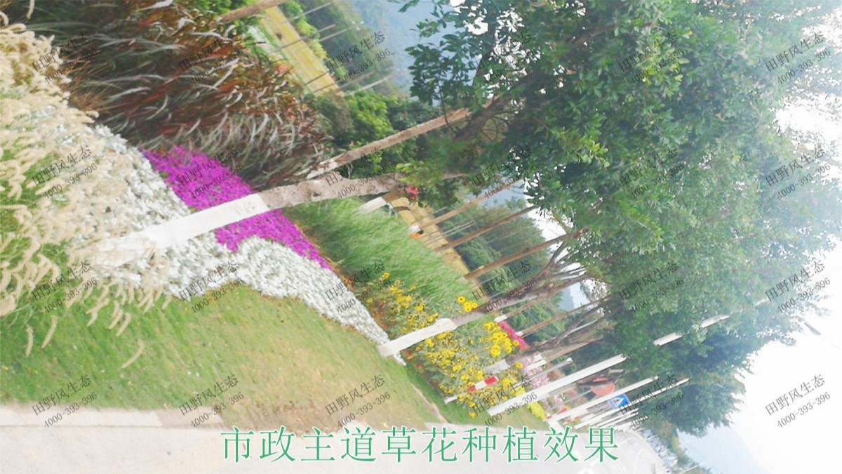 深圳光明市政園林工程 深圳光明市政園林工程