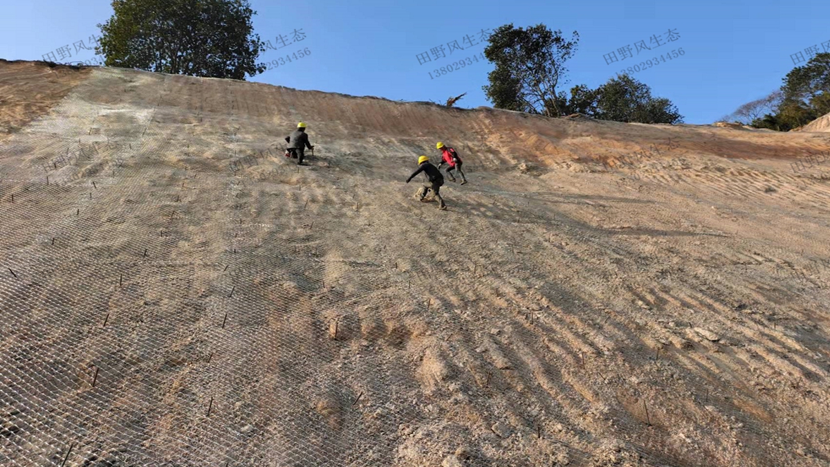 掛鐵絲網(wǎng) 掛鐵絲網(wǎng)