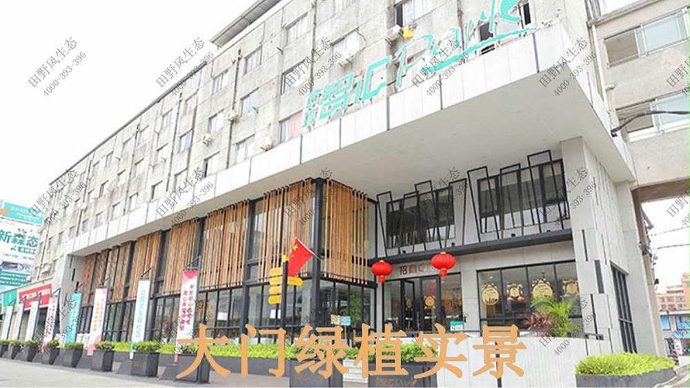 廣州西城智匯park植物出租案例 廣州西城智匯park植物出租案例