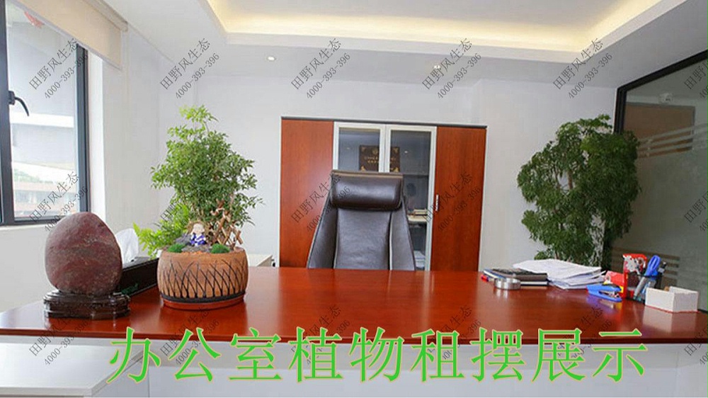 廣州西城智匯park植物出租案例 廣州西城智匯park植物出租案例