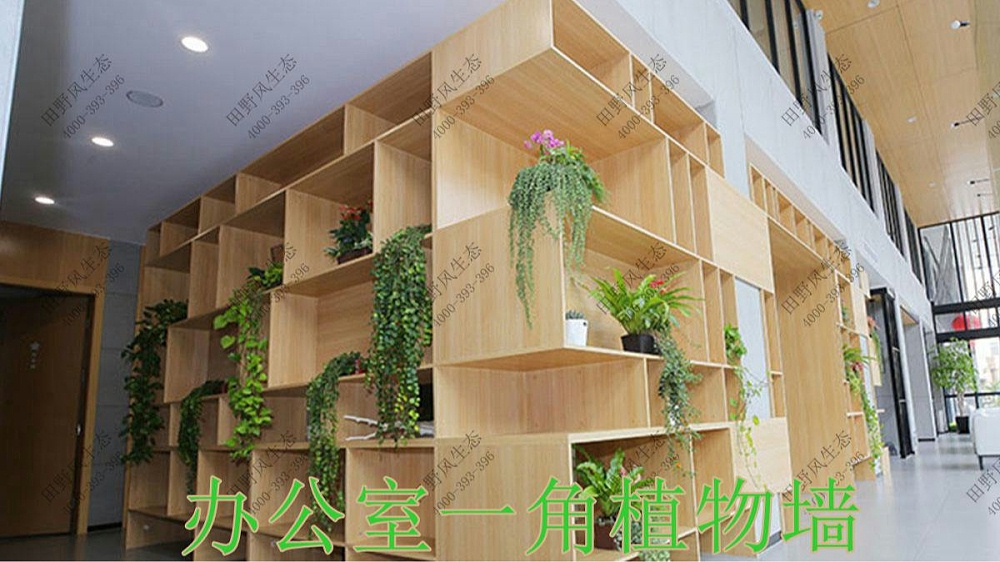 廣州西城智匯park植物出租案例 廣州西城智匯park植物出租案例