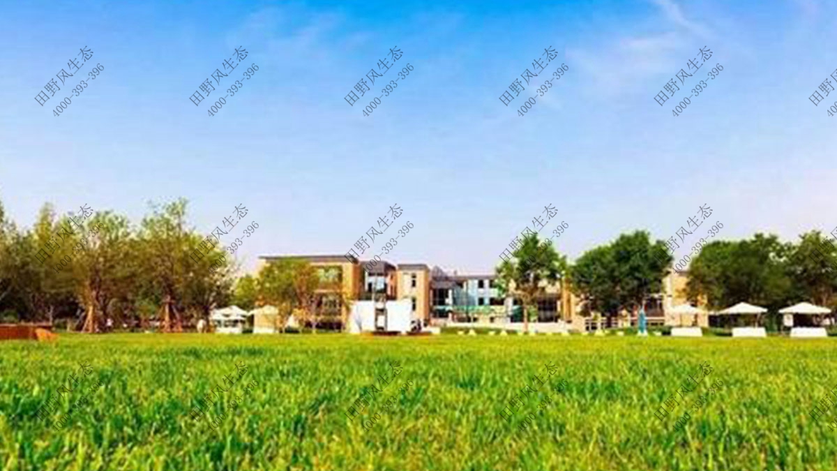 學(xué)校植物出租,學(xué)校植物租擺