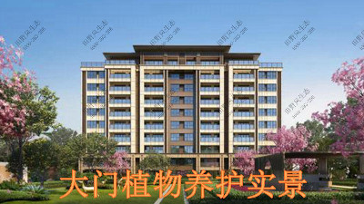 廣東奧園草坪養(yǎng)護(hù)案例