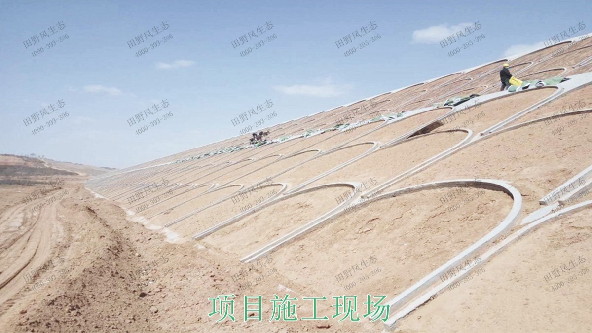 河源江東工業(yè)園邊坡復(fù)綠工程 河源江東工業(yè)園邊坡復(fù)綠工程