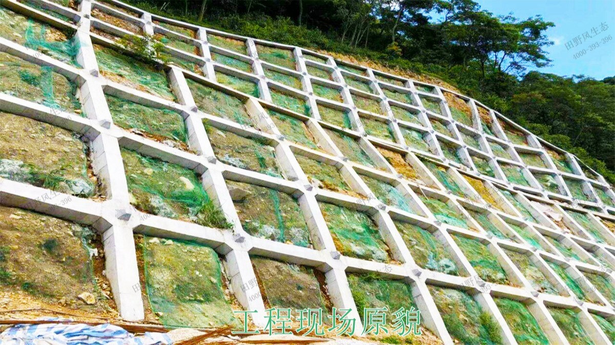 回龍工業(yè)園坡面噴播工程 回龍工業(yè)園坡面噴播工程