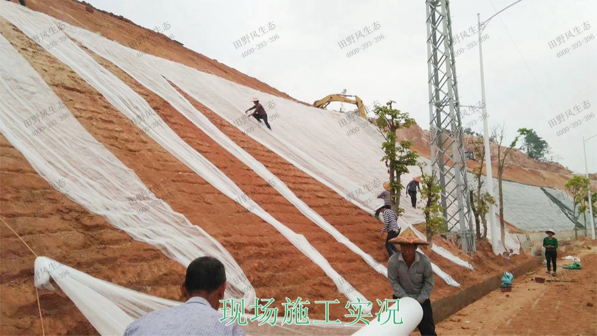 回龍工業(yè)園坡面噴播工程 回龍工業(yè)園坡面噴播工程