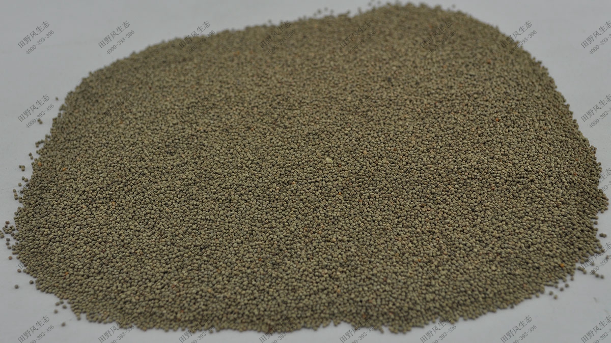 花?；ǚN子,混播花草種子