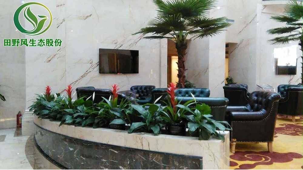 休息去綠植租擺 休息去綠植租擺