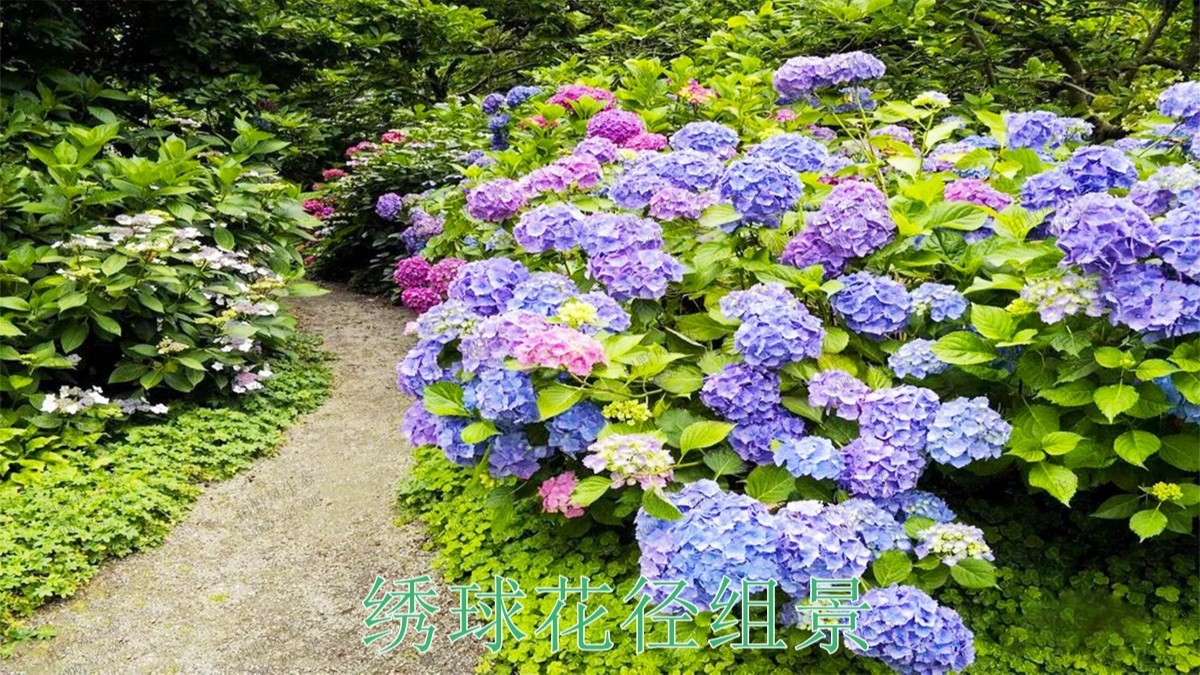 浪漫主題園林 浪漫主題園林