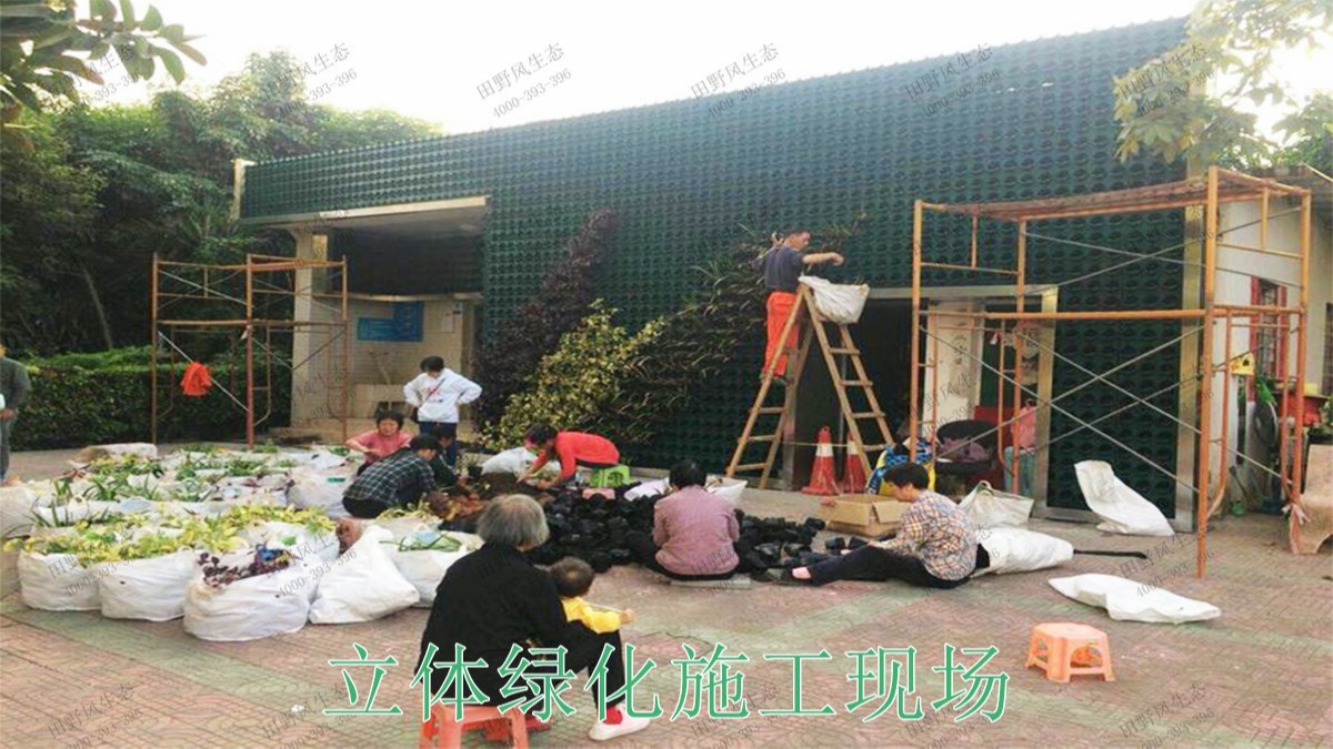 廣西南寧市政立體綠化工程 廣西南寧市政立體綠化工程