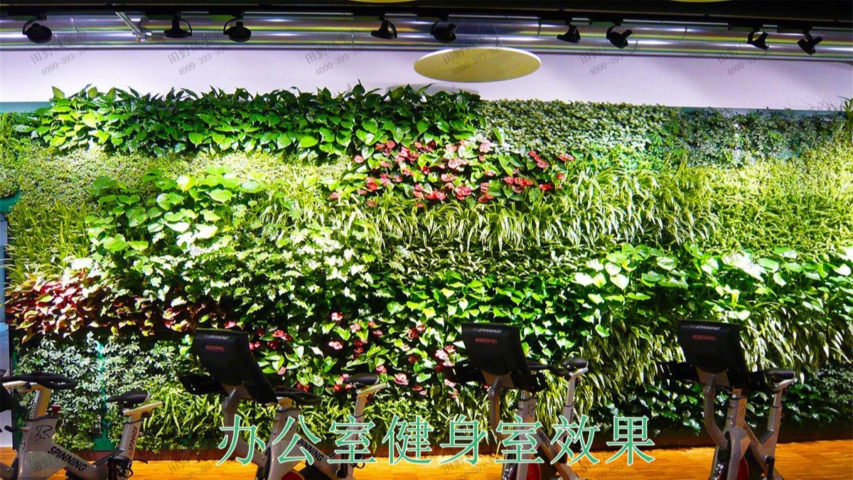 廣州黃埔立體綠化建設(shè)工程 廣州黃埔立體綠化建設(shè)工程