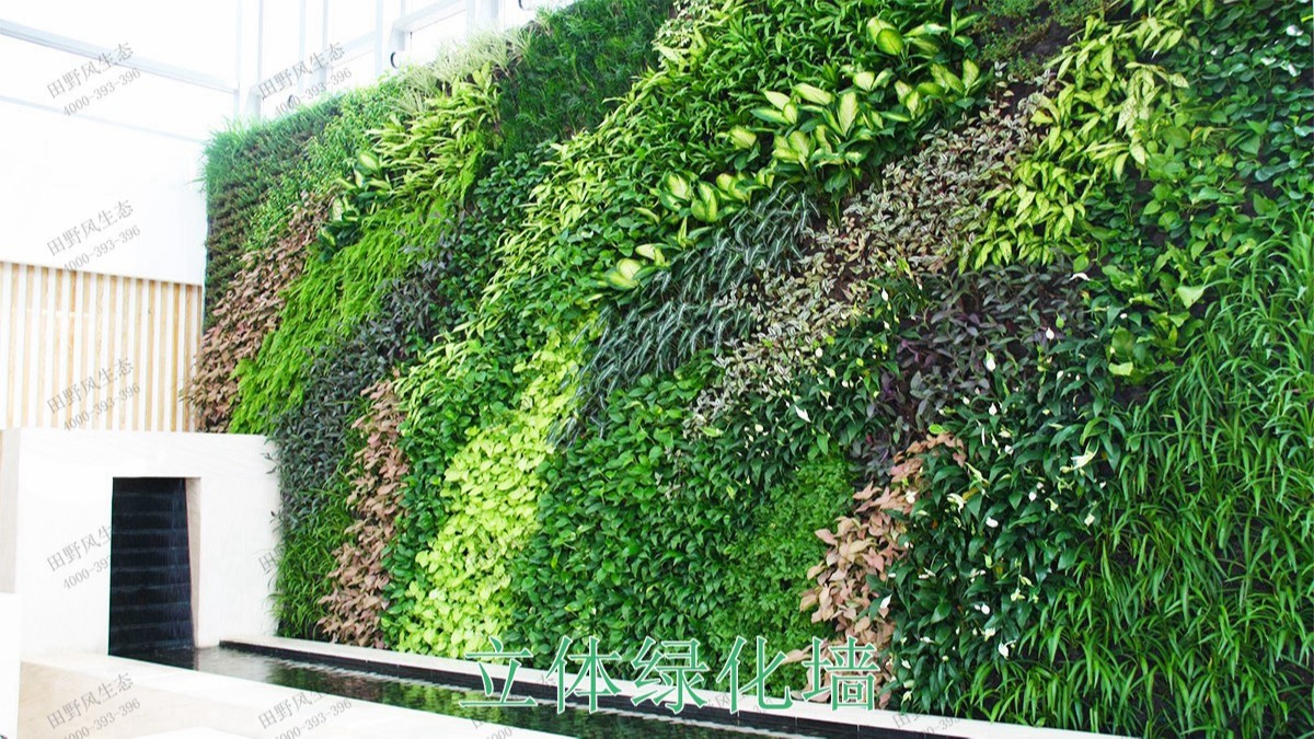 廣州黃埔立體綠化建設(shè)工程 廣州黃埔立體綠化建設(shè)工程