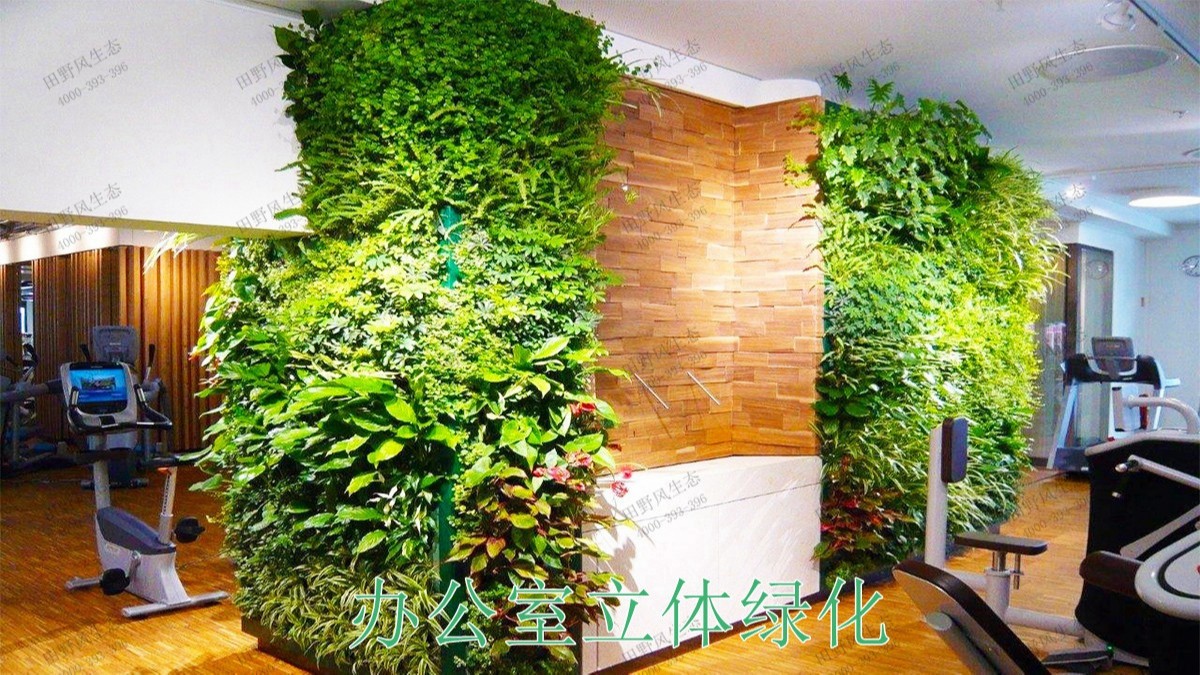 惠州市區(qū)園林立體綠化工程 惠州市區(qū)園林立體綠化工程