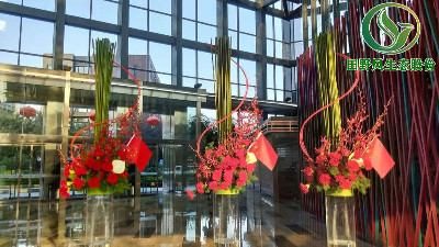 廣州綠植租賃在摩天大廈的美學設(shè)計