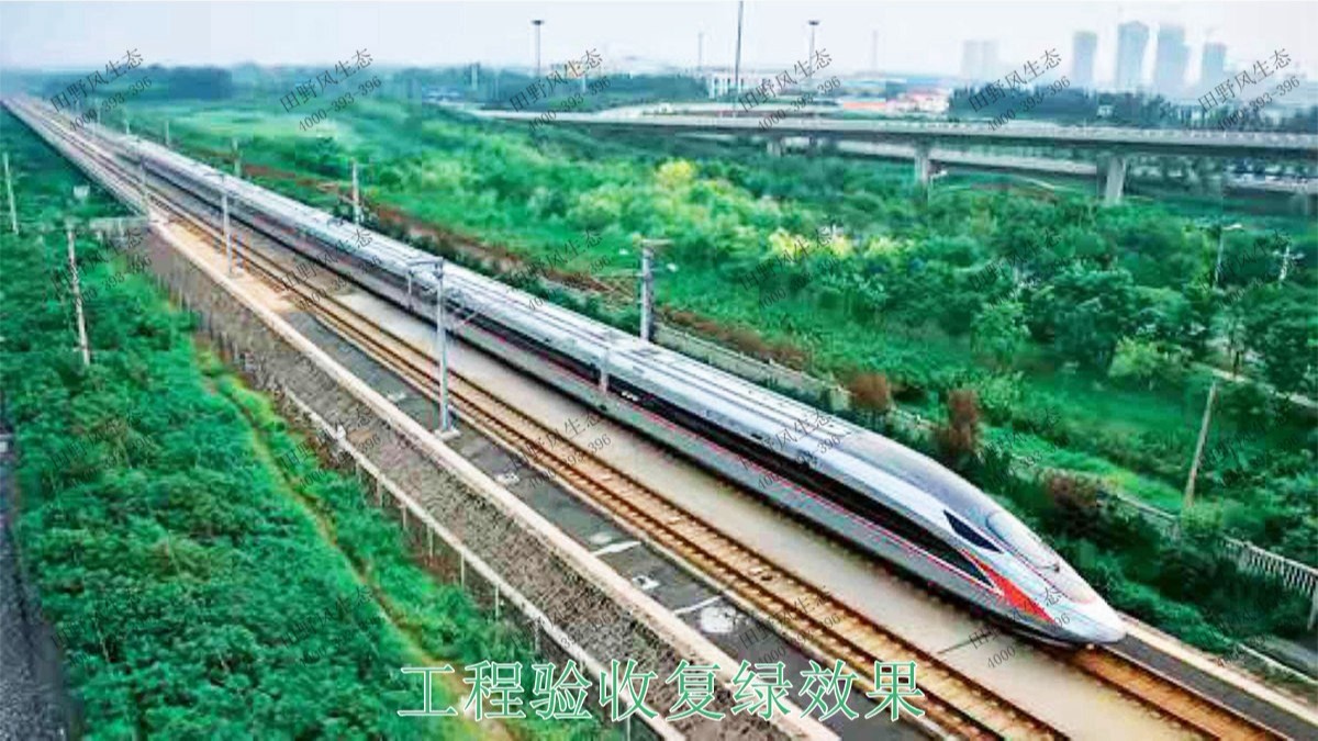 珠三角環(huán)線輕鐵路邊坡復(fù)綠工程 珠三角環(huán)線輕鐵路邊坡復(fù)綠工程