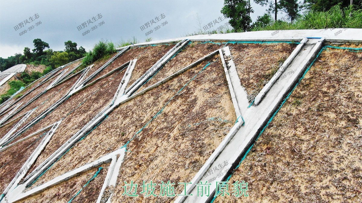 珠三角環(huán)線輕鐵路邊坡復(fù)綠工程 珠三角環(huán)線輕鐵路邊坡復(fù)綠工程