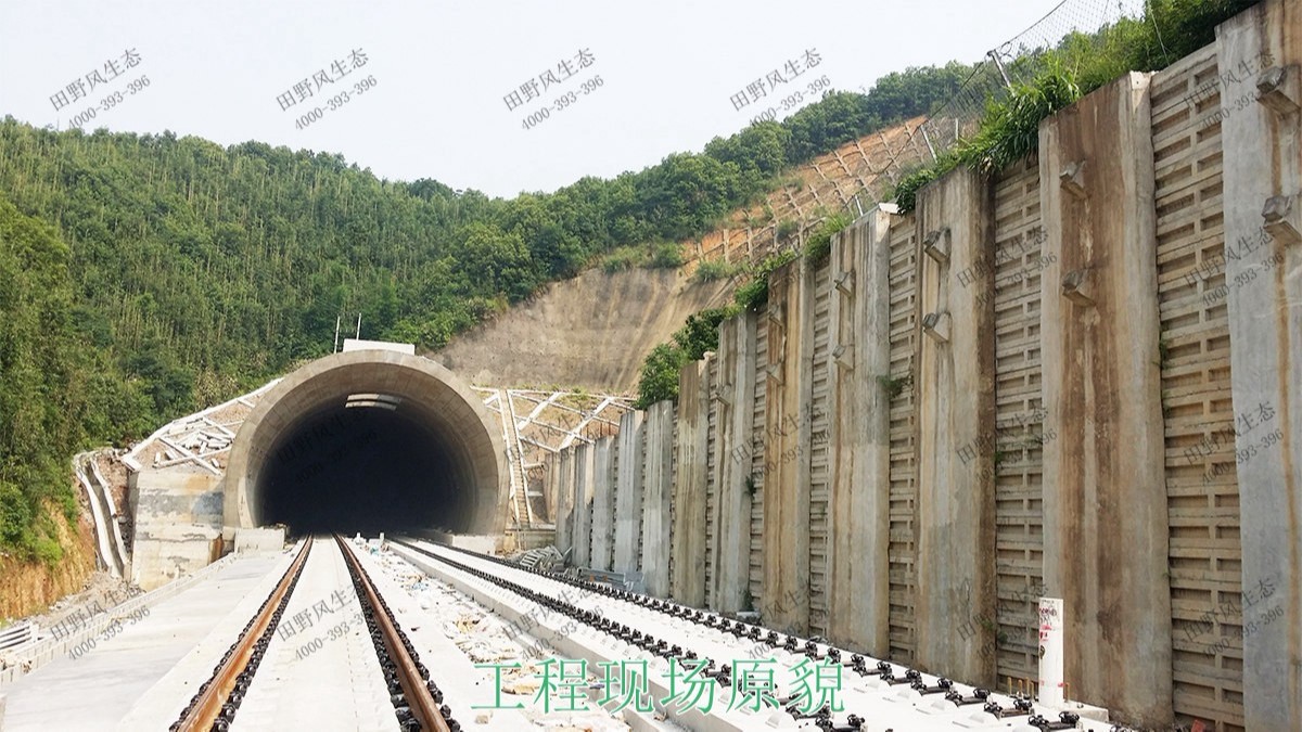 貴廣高鐵廣東段高鐵路邊坡噴草 貴廣高鐵廣東段高鐵路邊坡噴草