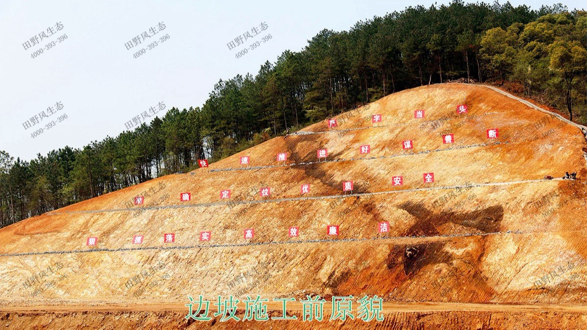 貴廣高鐵廣東段高鐵路邊坡噴草 貴廣高鐵廣東段高鐵路邊坡噴草