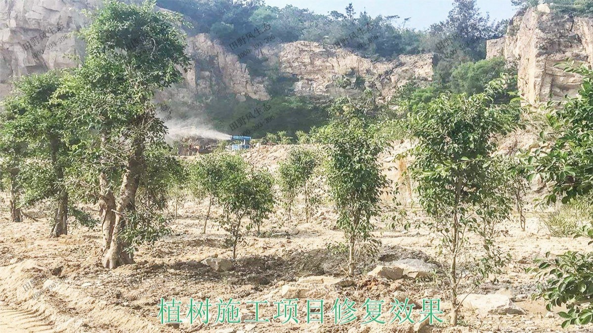 福建龍巖鐵礦山邊坡復(fù)綠 福建龍巖鐵礦山邊坡復(fù)綠