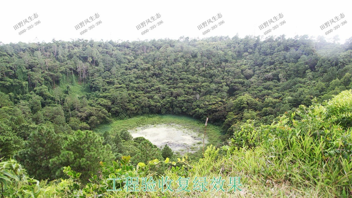 珠海橫琴采石場礦山邊坡植草 珠海橫琴采石場礦山邊坡植草