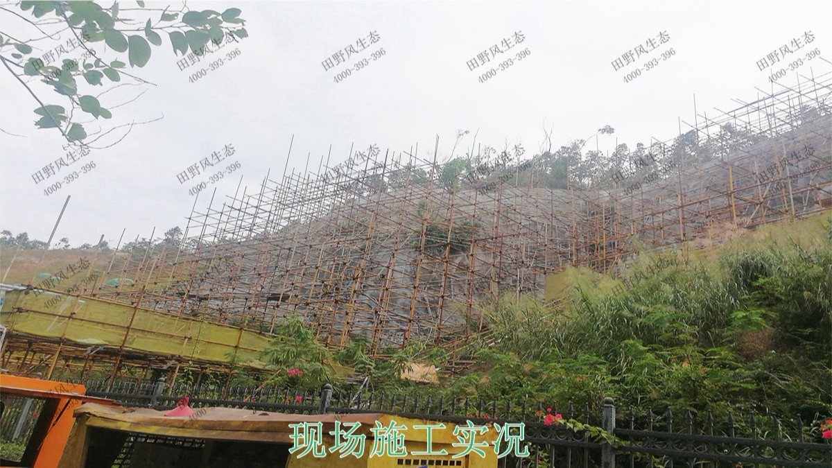 珠海橫琴采石場礦山邊坡植草 珠海橫琴采石場礦山邊坡植草