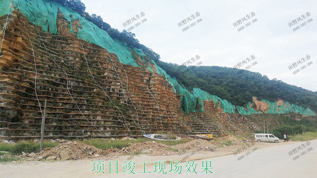 珠海橫琴采石場礦山邊坡植草 珠海橫琴采石場礦山邊坡植草