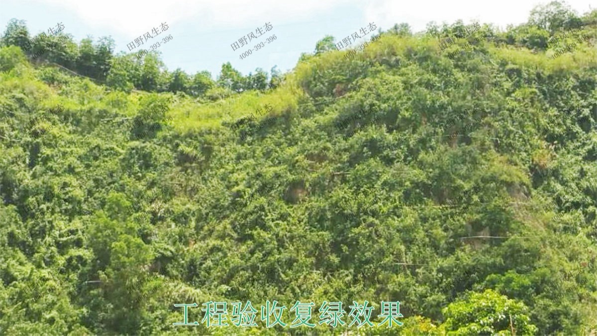 清遠(yuǎn)界牌石場(chǎng)礦山邊坡噴草 清遠(yuǎn)界牌石場(chǎng)礦山邊坡噴草