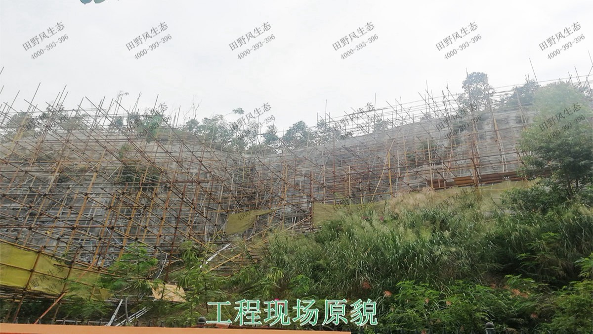 珠海長(zhǎng)隆集團(tuán)皙養(yǎng)基地邊坡修復(fù)工程 珠海長(zhǎng)隆集團(tuán)皙養(yǎng)基地邊坡修復(fù)工程