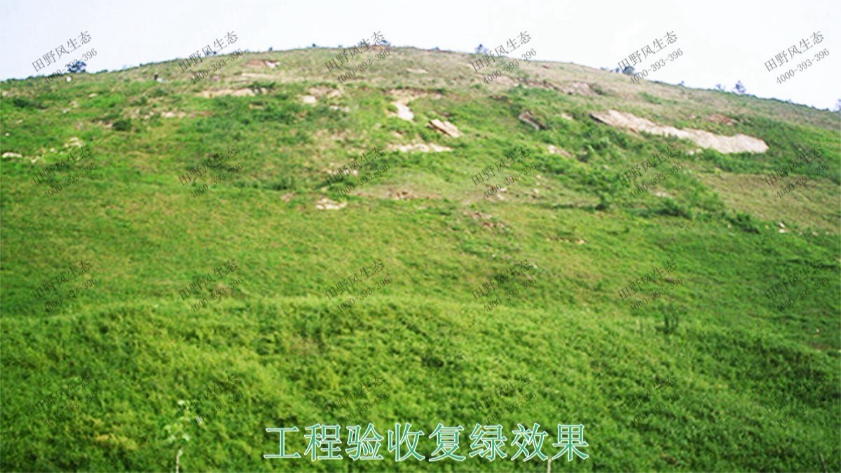 珠海長(zhǎng)隆集團(tuán)皙養(yǎng)基地邊坡修復(fù)工程 珠海長(zhǎng)隆集團(tuán)皙養(yǎng)基地邊坡修復(fù)工程