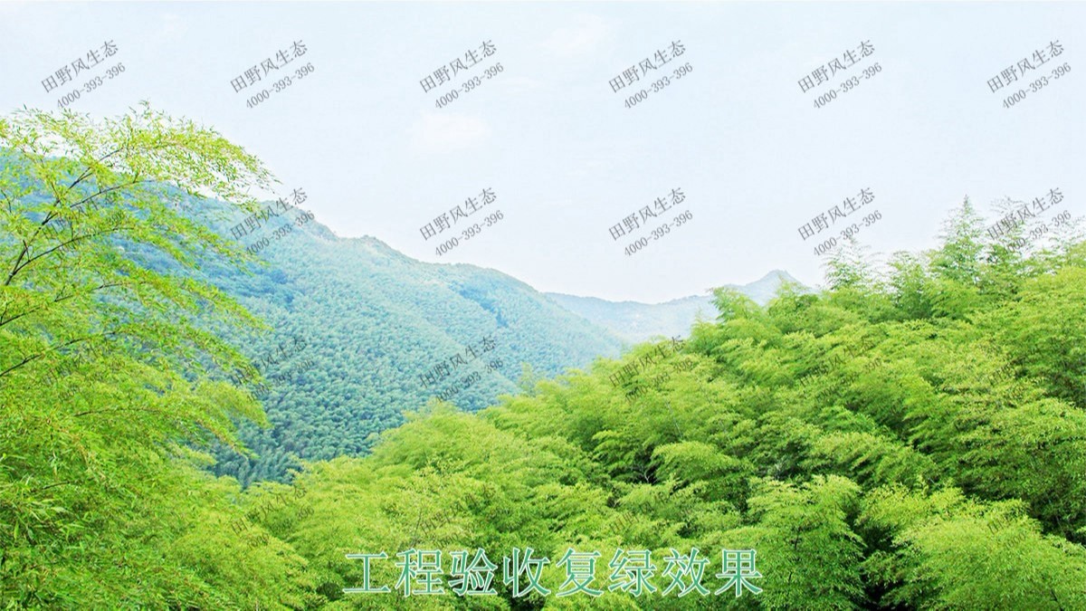 海豐蓮花山山體滑坡地質(zhì)災害邊坡噴草 海豐蓮花山山體滑坡地質(zhì)災害邊坡噴草