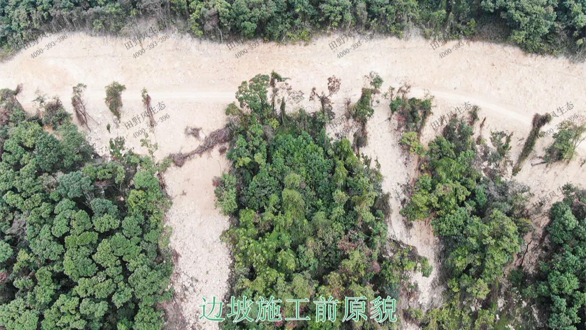 廣州白水山森林公園生態(tài)修復 廣州白水山森林公園生態(tài)修復