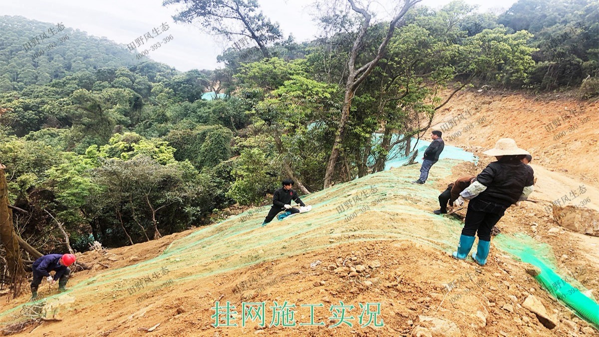 廣州白水山森林公園生態(tài)修復 廣州白水山森林公園生態(tài)修復