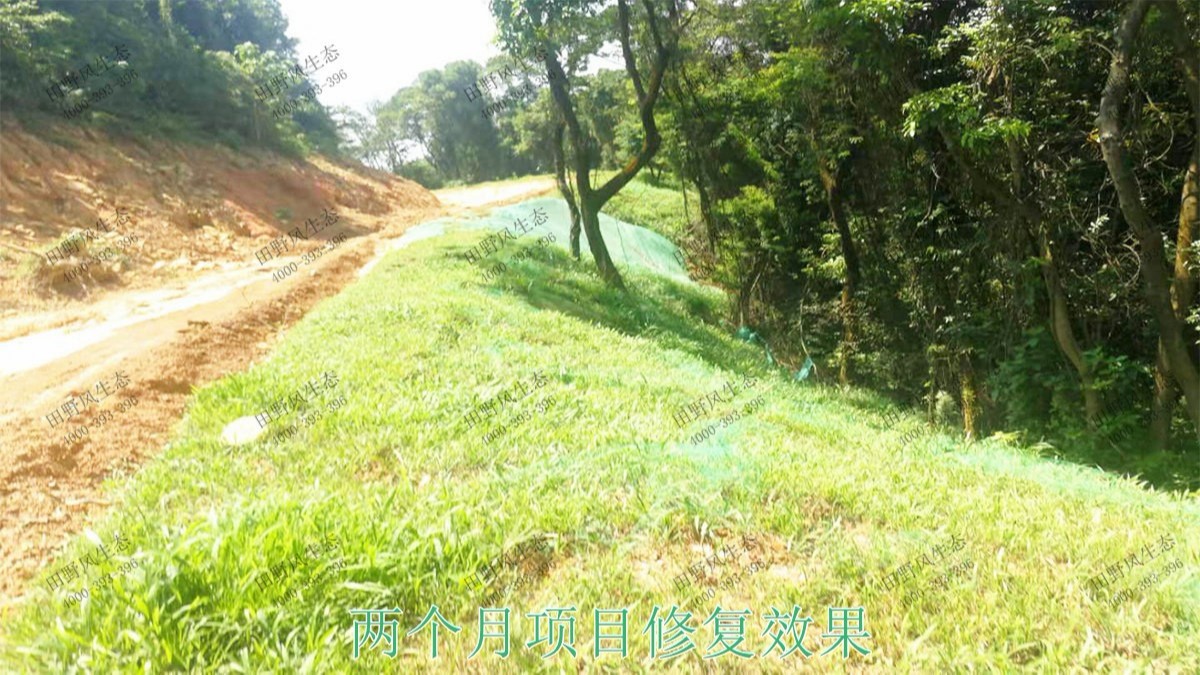 廣州白水山森林公園生態(tài)修復 廣州白水山森林公園生態(tài)修復