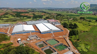 七天快速復(fù)綠，樹立行業(yè)新標(biāo)桿！