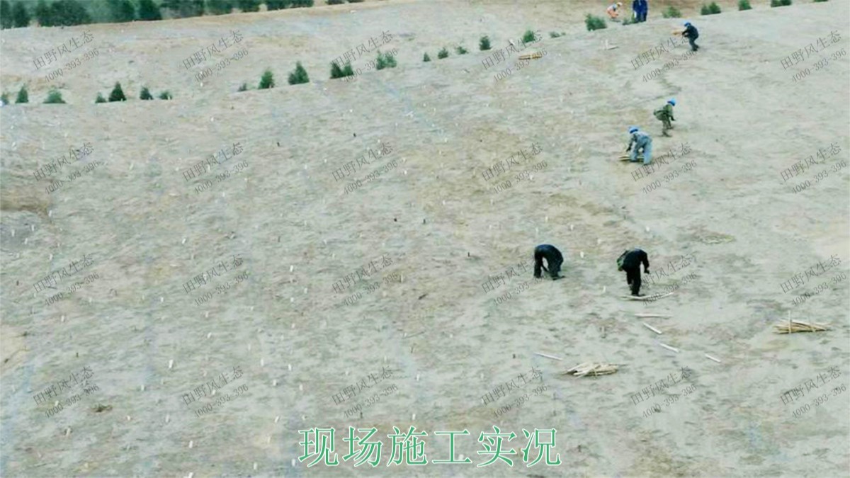 廣東高棖鉛鋅礦采石場邊坡復(fù)綠工程 廣東高棖鉛鋅礦采石場邊坡復(fù)綠工程