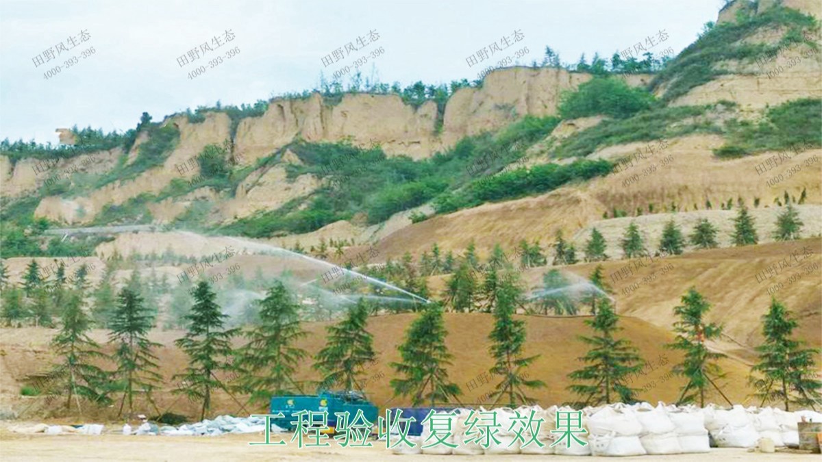 樂昌鱉石石場巖石綠化施工 樂昌鱉石石場巖石綠化施工