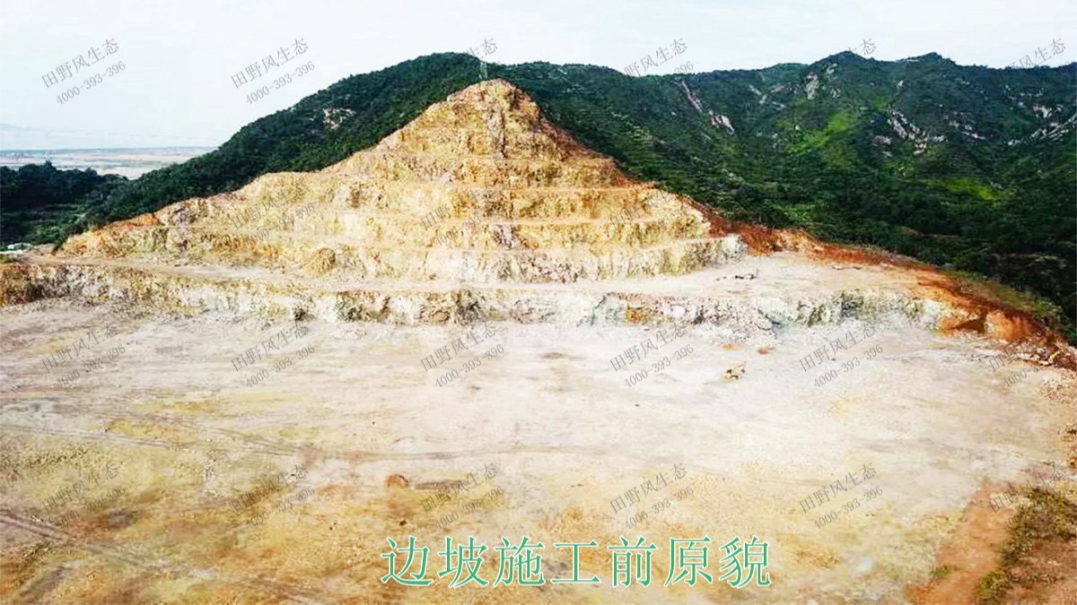 樂昌鱉石石場巖石綠化施工 樂昌鱉石石場巖石綠化施工