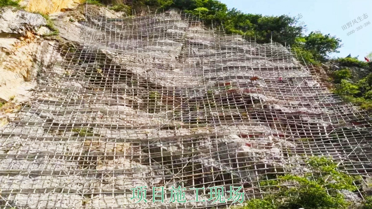 樂昌鱉石石場巖石綠化施工 樂昌鱉石石場巖石綠化施工