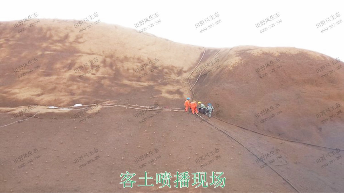 樂昌鱉石石場巖石綠化施工 樂昌鱉石石場巖石綠化施工