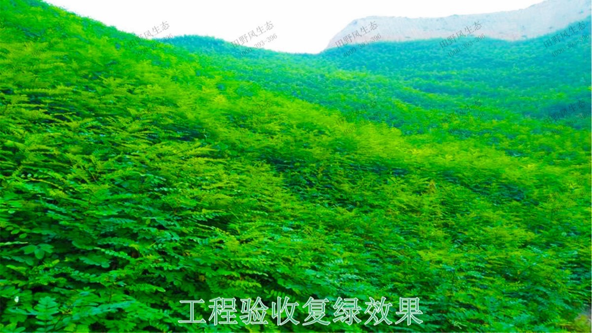 梅州永福石場生態(tài)修復工程 梅州永福石場生態(tài)修復工程