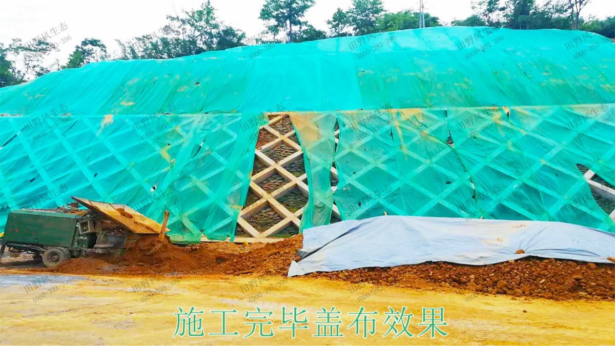 廣珠高速中山段公路邊坡綠化高速工程 廣珠高速中山段公路邊坡綠化高速工程