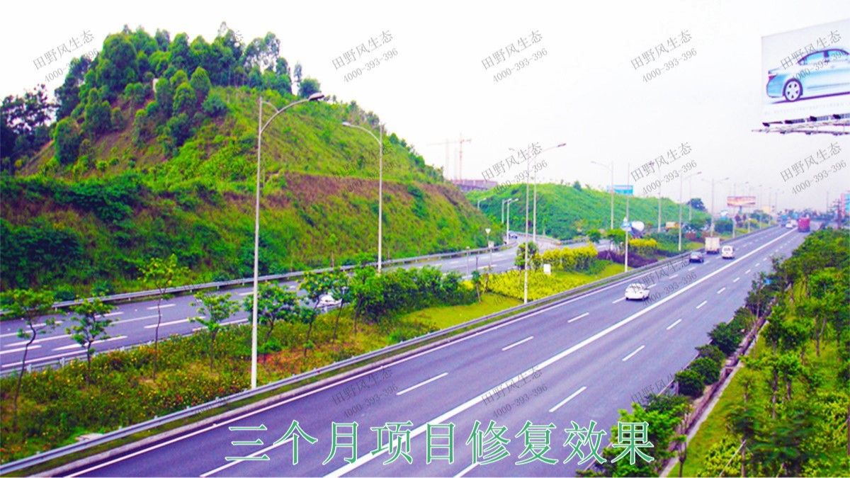 廣珠高速中山段公路邊坡綠化高速工程 廣珠高速中山段公路邊坡綠化高速工程