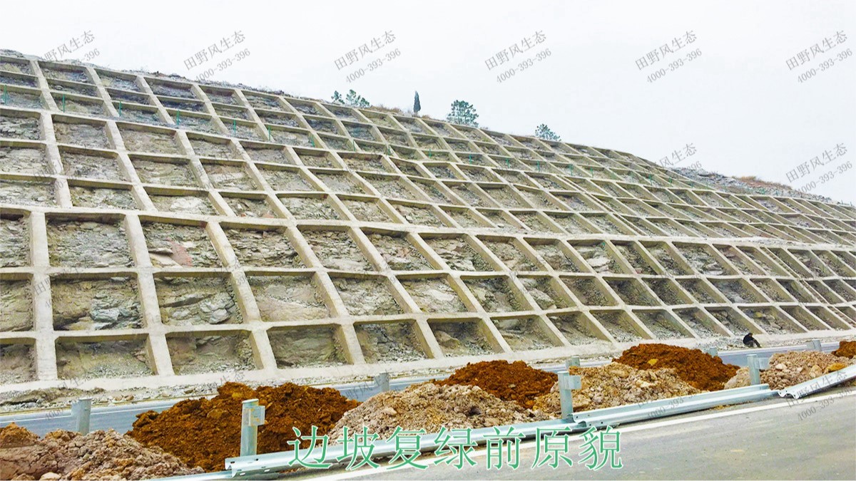 梅龍高速梅州段道路邊坡植草工程 梅龍高速梅州段道路邊坡植草工程