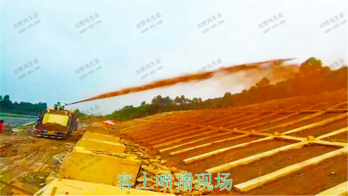 梅龍高速梅州段道路邊坡植草工程 梅龍高速梅州段道路邊坡植草工程